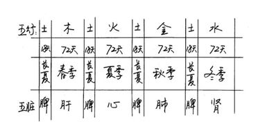 ：运势洗牌与良辰吉日的选择
