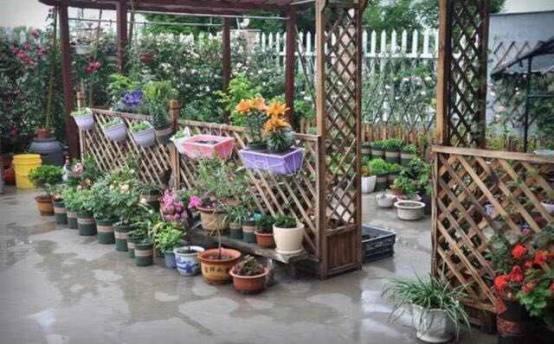 ：农村自建房阳台与风水蔬菜种植之学术探讨