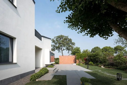 院中正南槐树吉凶，住宅白虎位大槐树，这样的布局是否吉利？