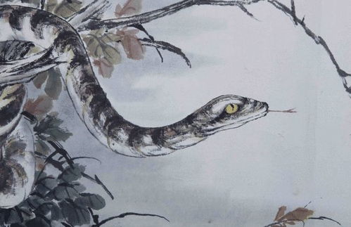 属蛇人横财运势如何？1965年属蛇男性今日运势具体是什么？