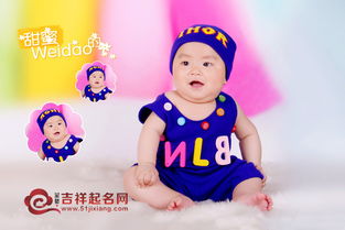 一月出生的聪明小猴子