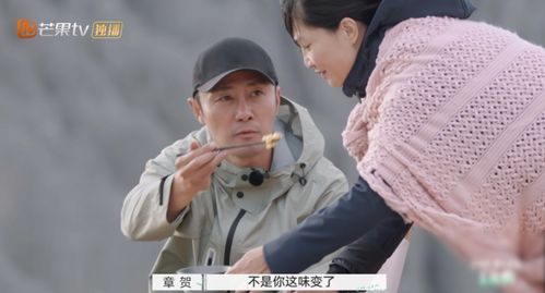 第一章 案例图谱构建：从竞技场域到江湖庙堂的双生叙事拓扑结构