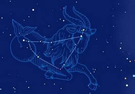 1965年属蛇摩羯座2026年运势如何，2026年摩羯蛇的运势会有哪些变化？