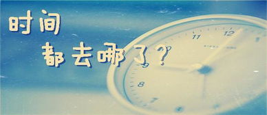 陈景润：更多语种掌握背后的严谨规划