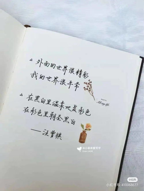 四、反思与启示：平衡理想与现实之路
