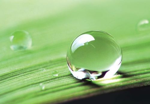 水融生肖是哪个？水元素对应的生肖是什么生肖？