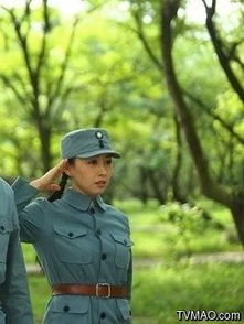 百度网盘谢武藤八字一剑横空大结局中，武藤是如何死去的？