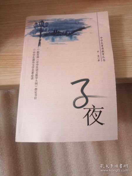 二、 国学修养下的“鬼影”概念：心理状态投射与集体潜意识