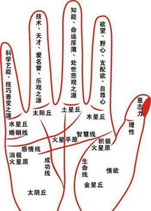 三、看手相：手掌上的发财线