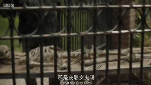 初始感知：异界的召唤与无形束缚