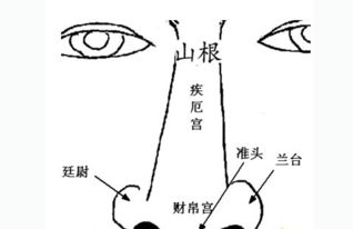 1.1 山根之位的象征意义