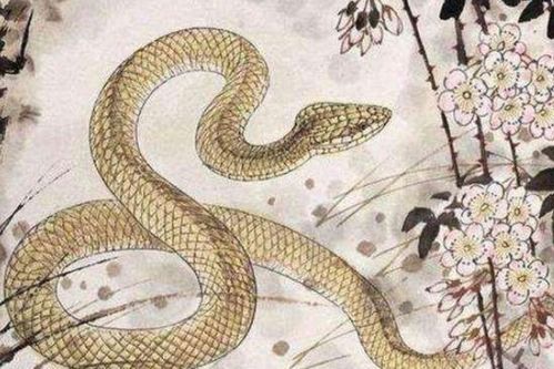 属蛇人的贵人属什么生肖？蛇的贵人有哪些生肖？