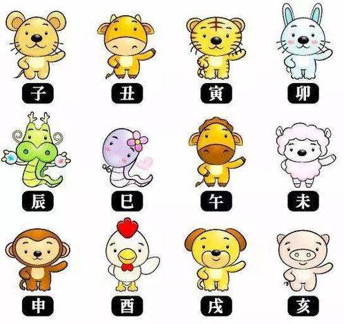 买珍贵的动物打一生肖是什么生肖，价值连城打一生肖是什么生肖？