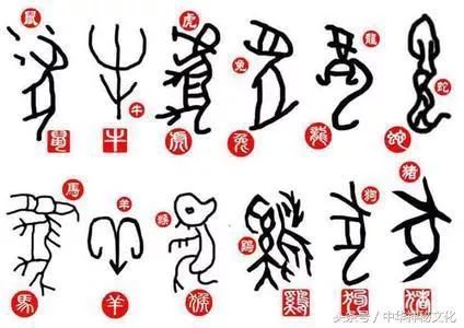 幻年生肖是什么？幻字打一生肖的含义是什么？