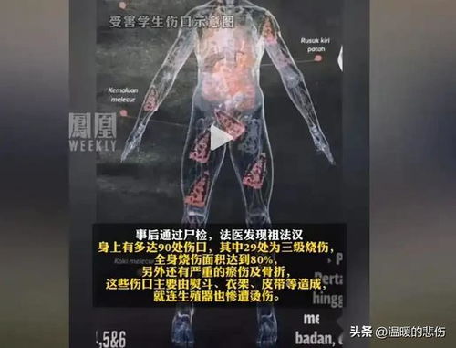 人心险恶：暗箭难防的历史警示