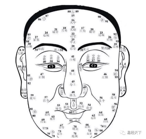 2. 生理老化过程中的组织变迁