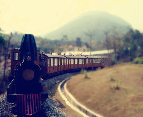 购物：买啥？钱多烧得慌？(不建议)