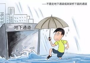 庐山2006年冬天：冰面上的生死博弈