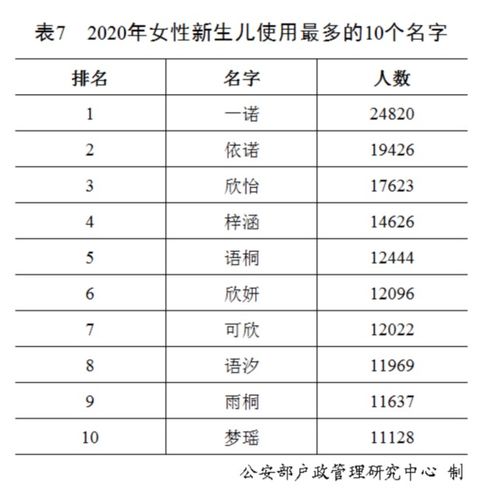 品牌命名中的诺字运用