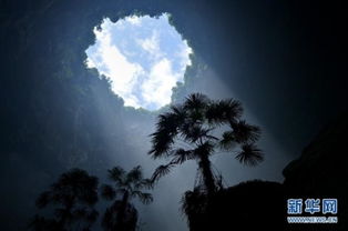 幽魂现象的文化解读