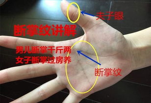 地纹——根基、 福祉与德行的综合体现