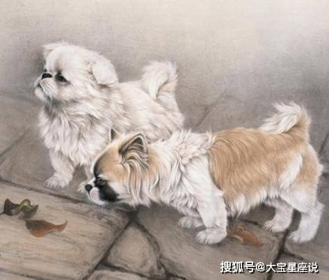 2026年属狗女性财运如何，命运趋势怎样？