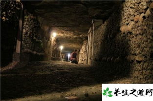 ：时空交错中的预兆与隐秘