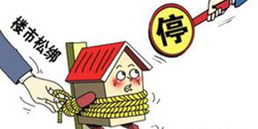 专业咨询与针对性方案的制定