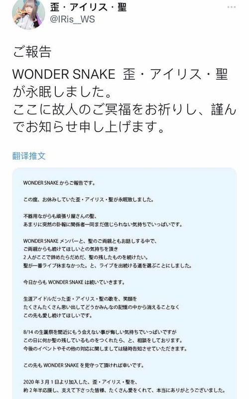 1.1 符号与信息传递的内在关联
