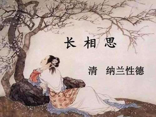 纳兰性德之生平概述