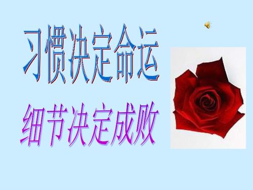 青春八字主题，究竟蕴含着怎样的命运奥秘？