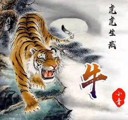 2. 个性化定制服务