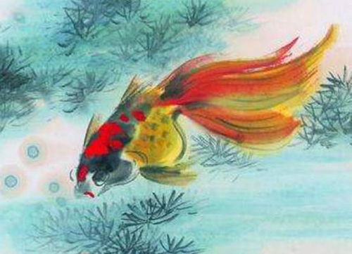 属兔人宜养什么鱼能招财运？75年属兔女招财手机壁画具体含义是什么？