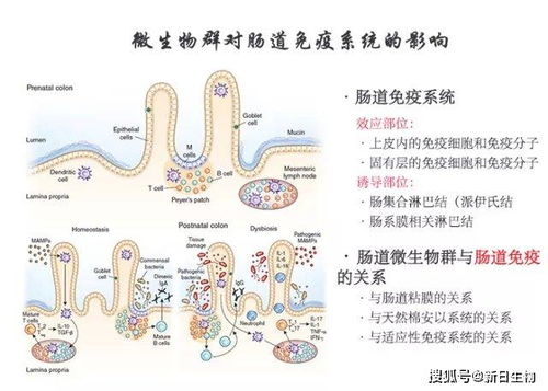 三、 十二生肖与风水之间交织出的和谐共同生存机制