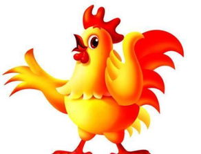 属鸡人今年能否成为贵人？适合送给属鸡的礼物有哪些推荐？