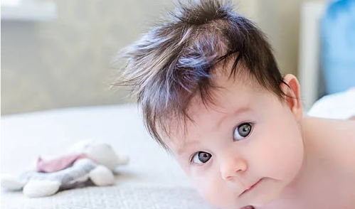 二、 鼠年男婴取名常用字分析