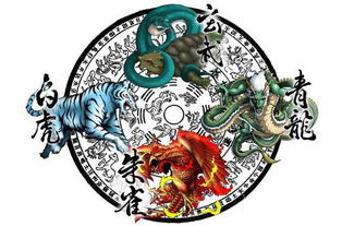 中国四象中哪一象在风水鱼养四象中最为重要？