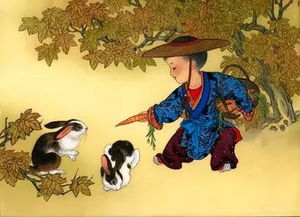 十二生肖的贵人、克星、灾星以及三煞位具体指什么？