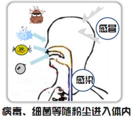 2.1 呼吸调节对交感副交感平衡的影响