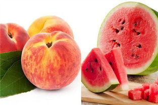 二、生理机制的综合阐释