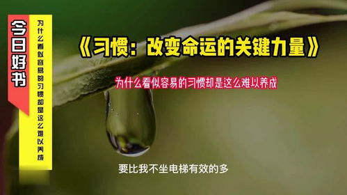 第一章：家庭风水与沟通习惯的内在逻辑