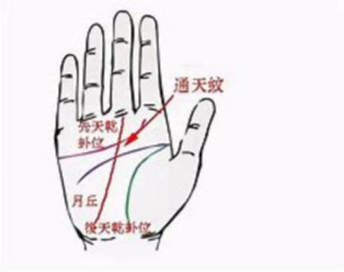 各类“生财纹”的含义及其位置