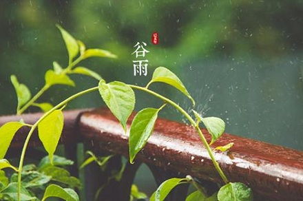 一、谷雨时节的气候特征与健康风险