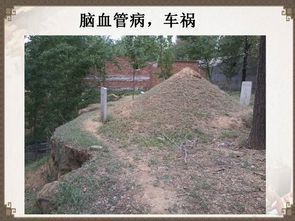 五、 案例分析：张先生动土实践及其后续效应