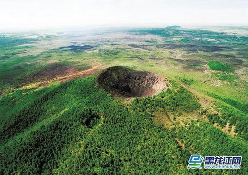 a) 五大连池野生鲢鱼炖豆腐