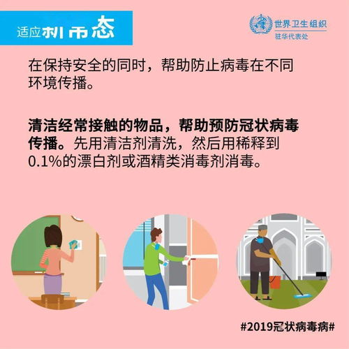 自律与随性：两种截然不同的生命哲学