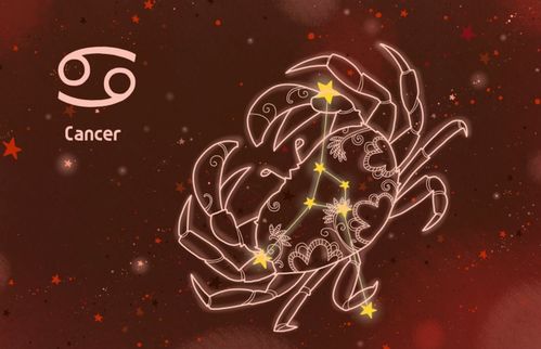 论星座意志坚定的特性：从心理状态学与风水视角解读