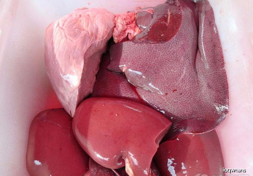 四、 坚硬难化之物：脾胃运化功嫩的机械性损伤