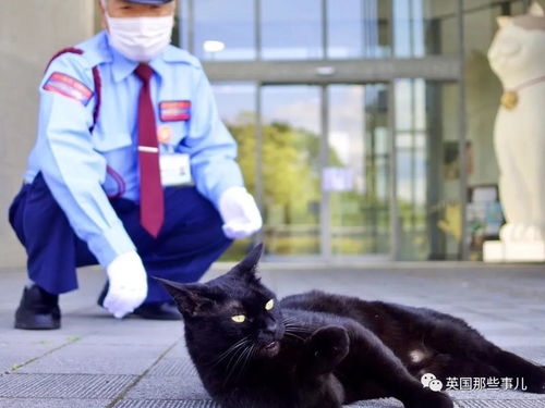 门后阴风与绿光之眼的交叉体验