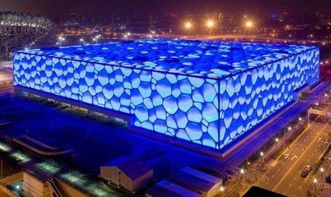 鸟巢的风水寓意究竟有何独特之处？